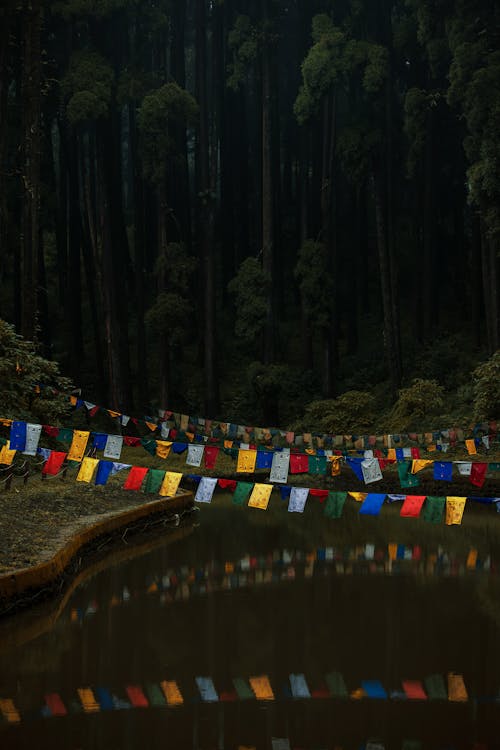 05 Days 04 Nights Dwoors Tour Itinerary