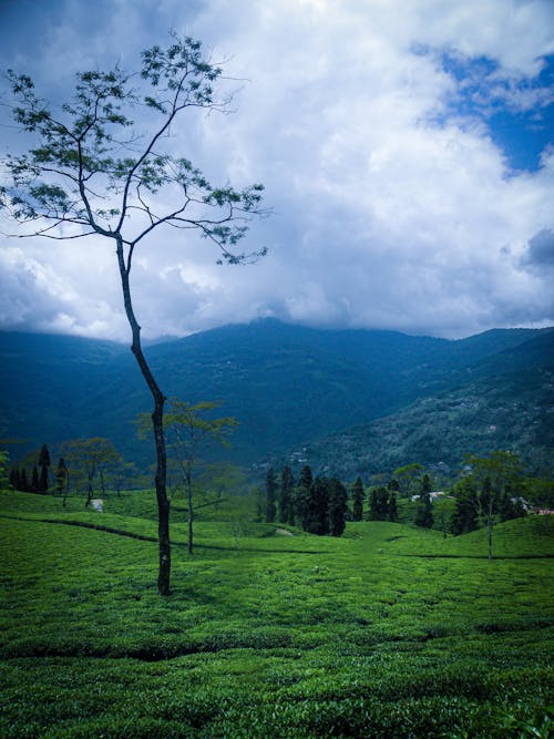 05 Days 04 Nights Dwoors Tour Itinerary