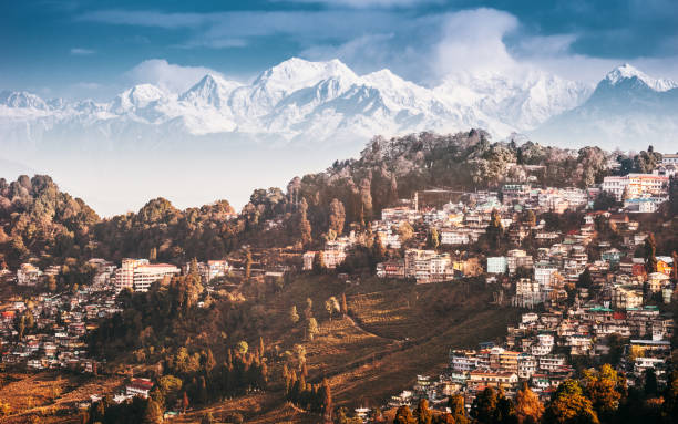 01 Night 02 Days Nepal - Ilam Tour Package